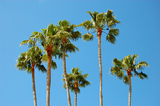 Ocoee Property Managers Ocoee Property Managers