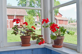 Windermere Property Managers Windermere Property Managers