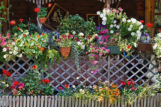 Winter Park Property Managers Winter Park Property Managers