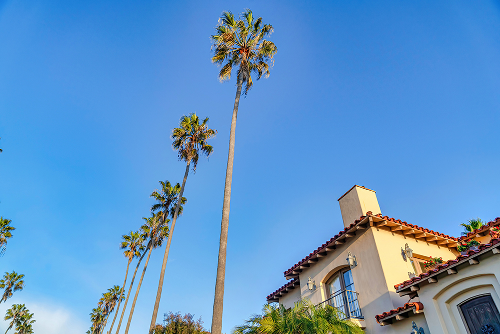 Winter Park Property Management